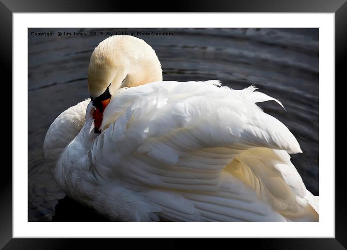 Fifty shades of White (2) Framed Mounted Print by Jim Jones