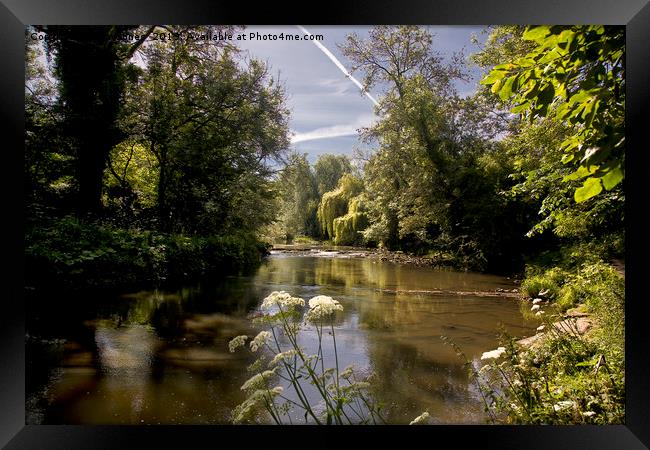 Green Peace! Framed Print by Jim Jones