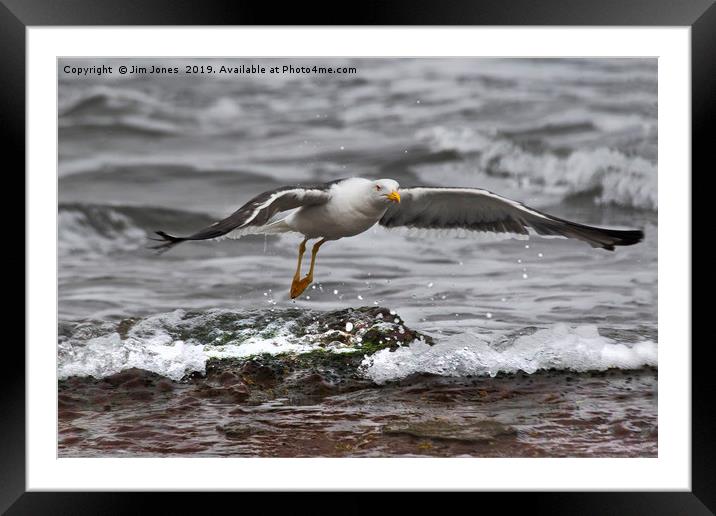 Cleared for take-off Framed Mounted Print by Jim Jones