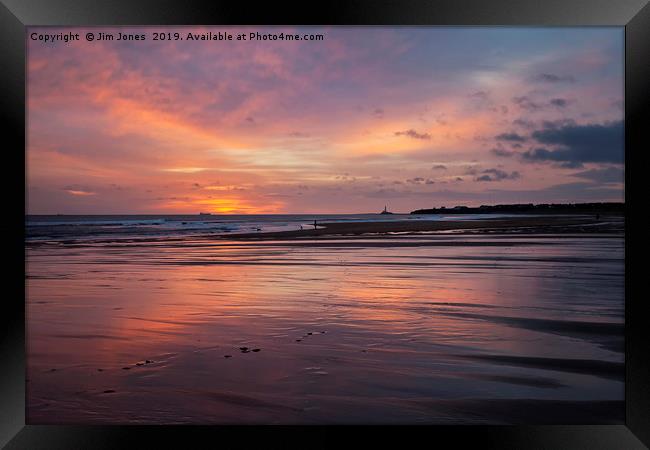 Paw marks in the sand Framed Print by Jim Jones