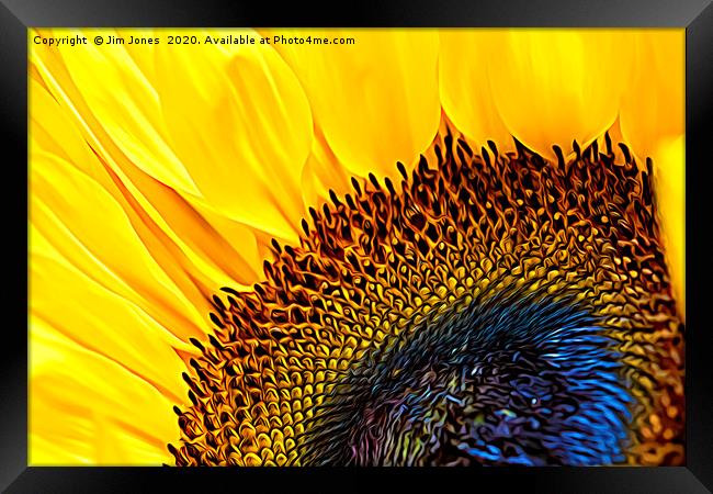 Artistic Sunflower Macro Framed Print by Jim Jones