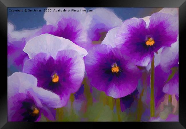 Artistic Purple Pansies. Framed Print by Jim Jones