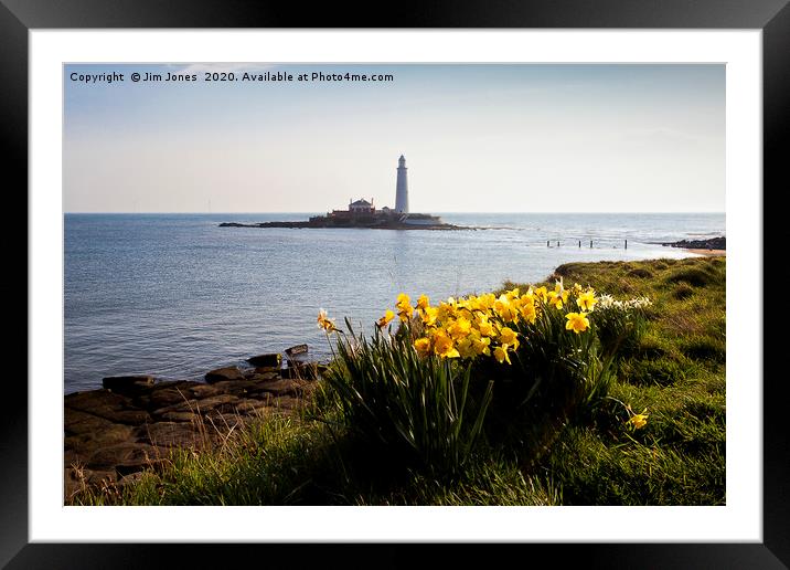 Springtime at St Mary's Island Framed Mounted Print by Jim Jones