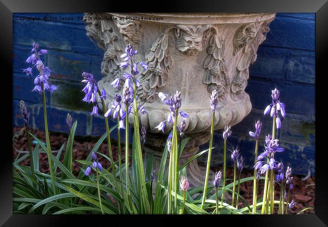 Bluebells and Decorative Urn with artistic filter. Framed Print by Jim Jones