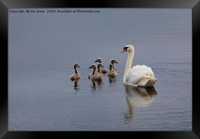Keeping the family together Framed Print by Jim Jones