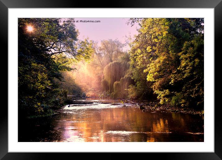Autumn Sunshine on the River Blyth Framed Mounted Print by Jim Jones