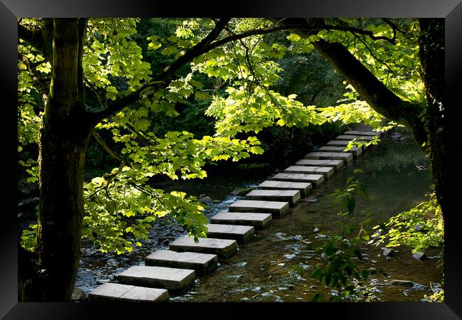 The Stepping Stones Framed Print by Jim Jones