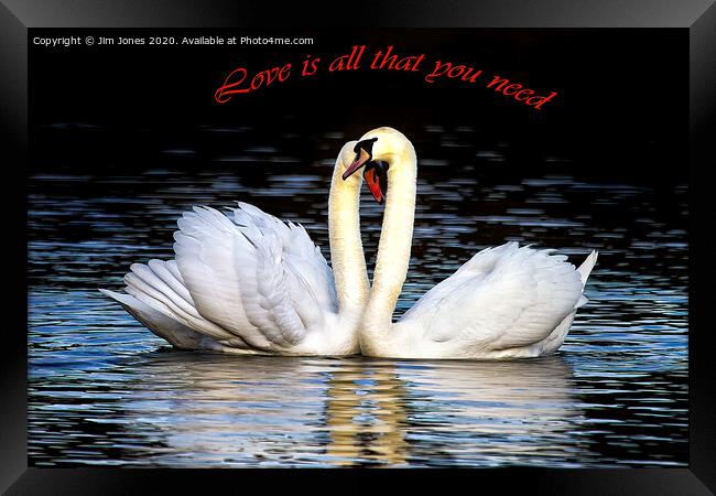 Love is all that you need Framed Print by Jim Jones