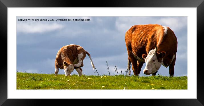 Sometimes all you need is a good scratch! Framed Mounted Print by Jim Jones