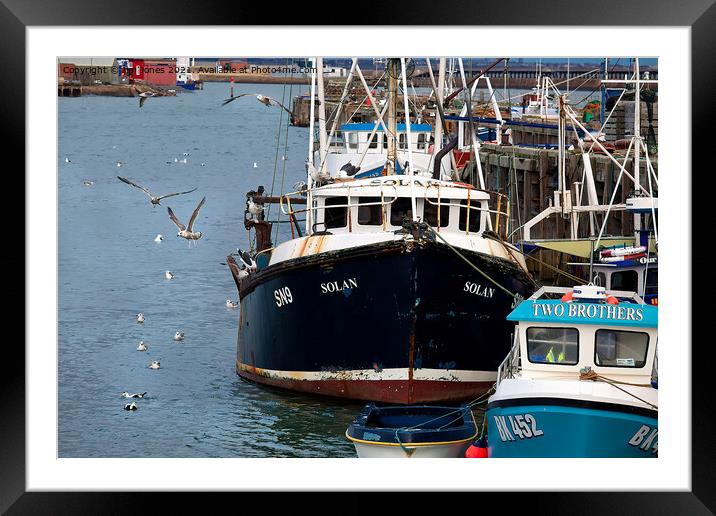  Fishing boats and seagulls Framed Mounted Print by Jim Jones