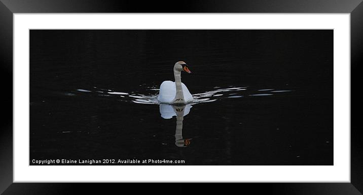 Tranquil Beauty Framed Mounted Print by Elaine Lanighan