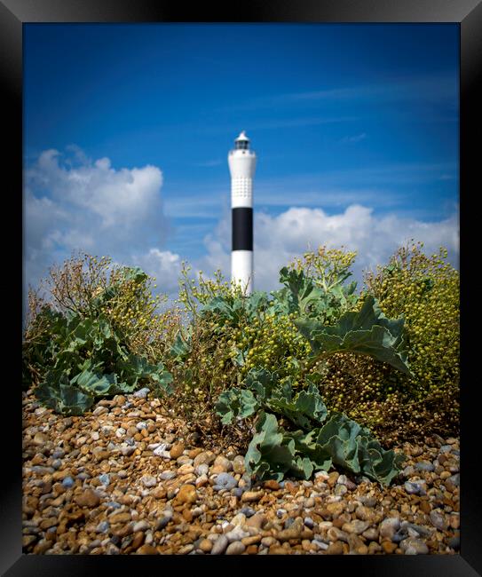 Dungeness lighthouse   Framed Print by Victoria Bowie