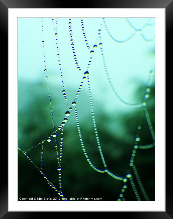 Dew Beads Framed Mounted Print by Kim Slater