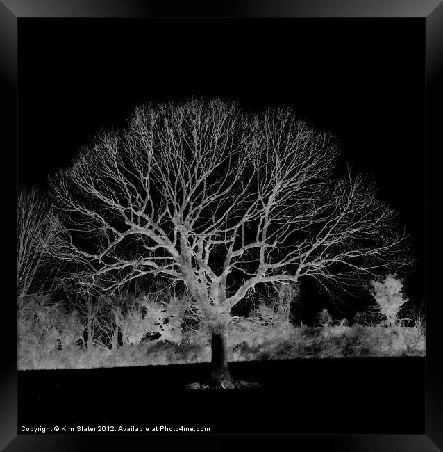 The Skeleton Tree Framed Print by Kim Slater