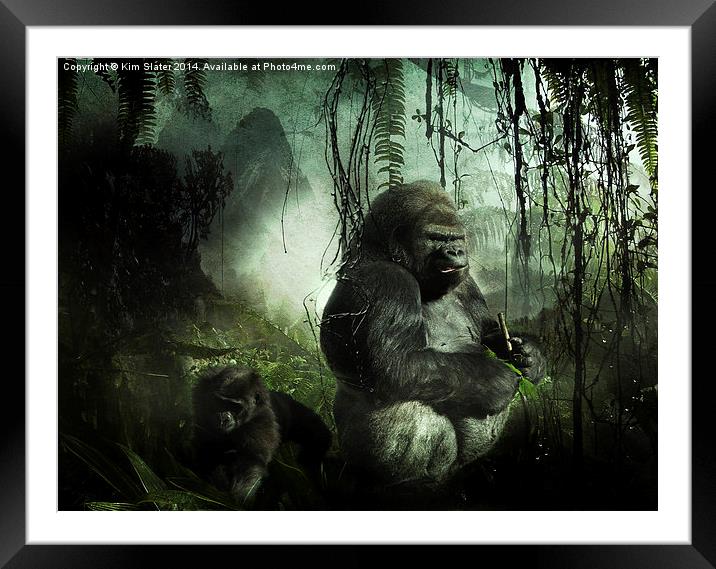Gorillas in the mist Framed Mounted Print by Kim Slater