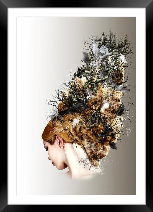  The Birds Nest Framed Mounted Print by Kim Slater