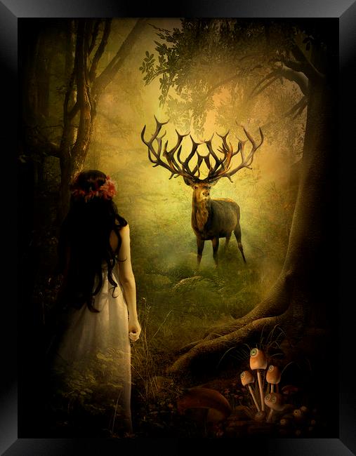  Mystical Forest Framed Print by Kim Slater