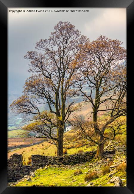 Welsh Cottage Snowdonia Wales Framed Print by Adrian Evans