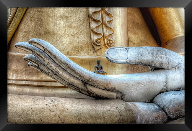 Hand of Buddha Framed Print by Adrian Evans