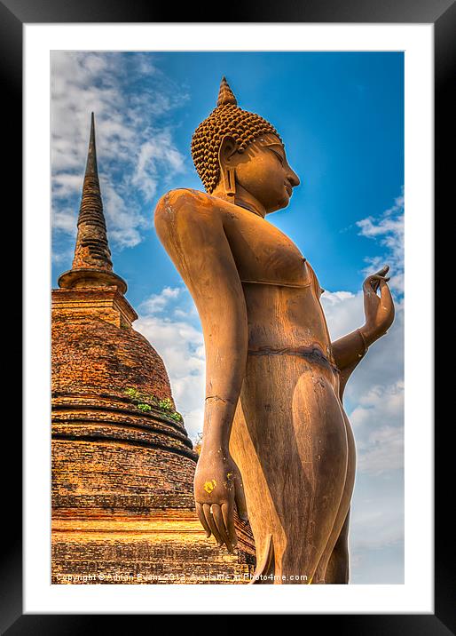 Buddha Statue Framed Mounted Print by Adrian Evans
