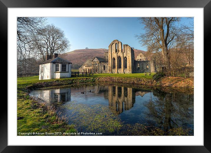 Duck Pond Framed Mounted Print by Adrian Evans