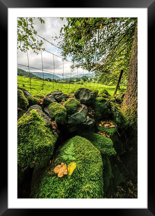 Mossy Wall Framed Mounted Print by Adrian Evans