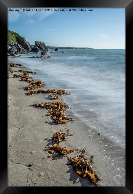 Seaweed Beach Framed Print by Adrian Evans