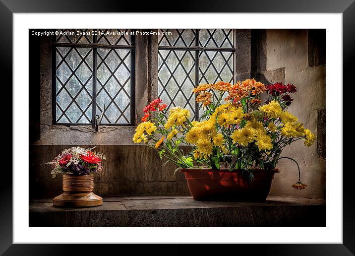 Flower Display Framed Mounted Print by Adrian Evans