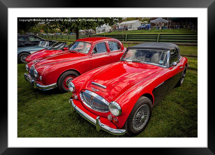Austin Healey 3000 Framed Mounted Print by Adrian Evans