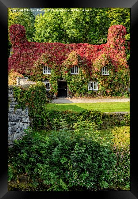 Llanrwst Tea Shop Wales Framed Print by Adrian Evans