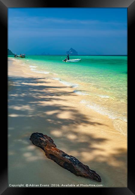 Driftwood On The Thai Beach Framed Print by Adrian Evans