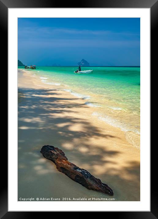 Driftwood On The Thai Beach Framed Mounted Print by Adrian Evans