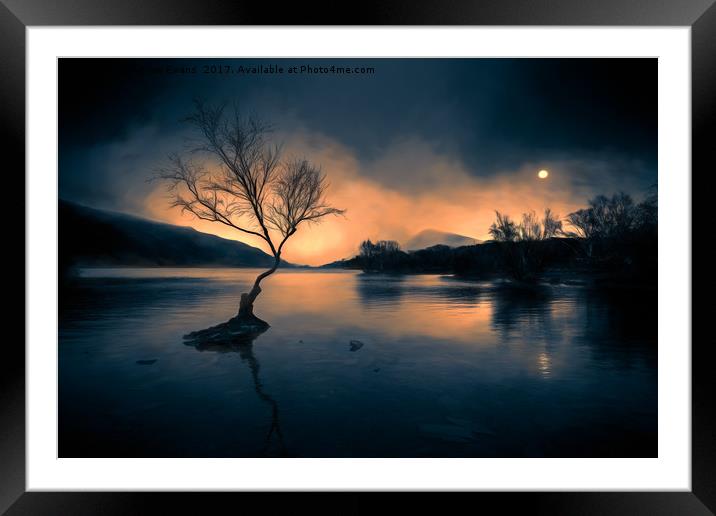 Lone Tree Llanberis Snowdonia Framed Mounted Print by Adrian Evans