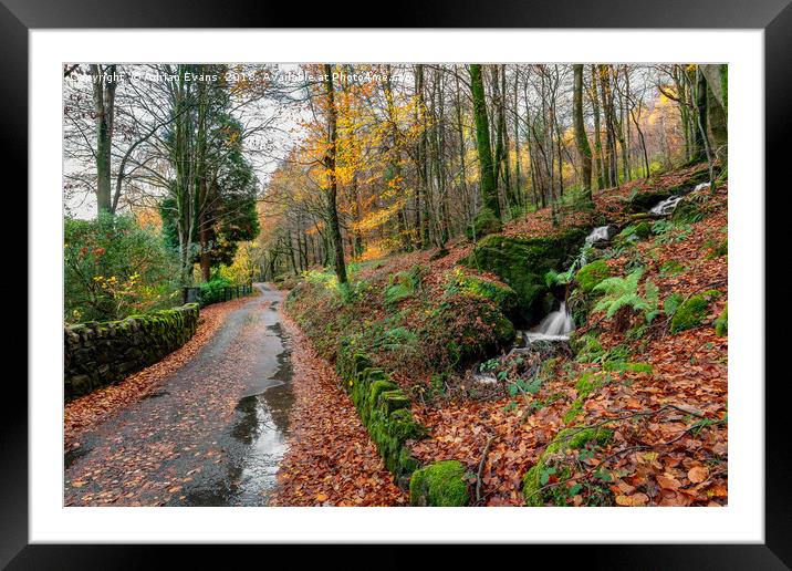 Autumn Forest River Framed Mounted Print by Adrian Evans
