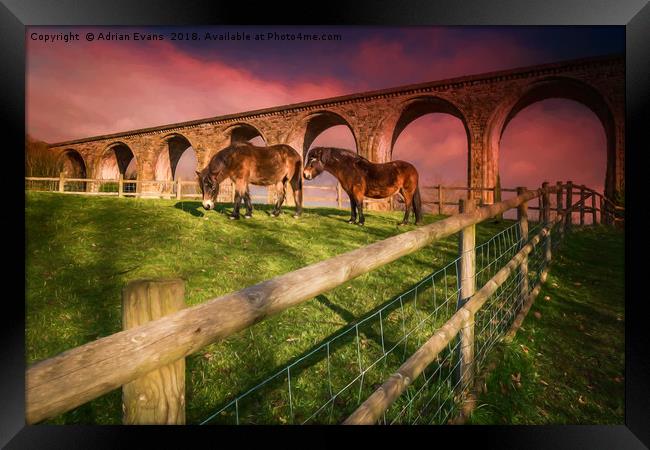 Cefn Viaduct Horses at Sunset Framed Print by Adrian Evans