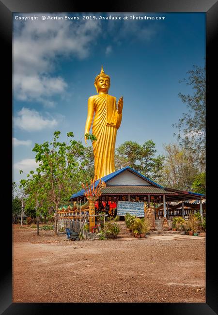 Wat Kham Chanot Golden Buddha Framed Print by Adrian Evans