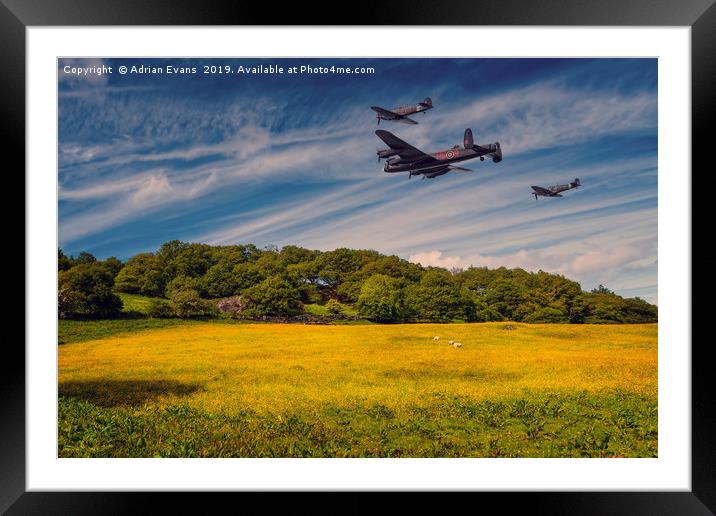 Battle of Britain Memorial Flight  Framed Mounted Print by Adrian Evans