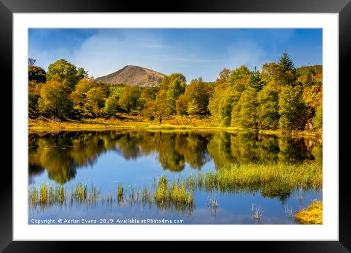 Forest Lake Snowdonia Wales Framed Mounted Print by Adrian Evans