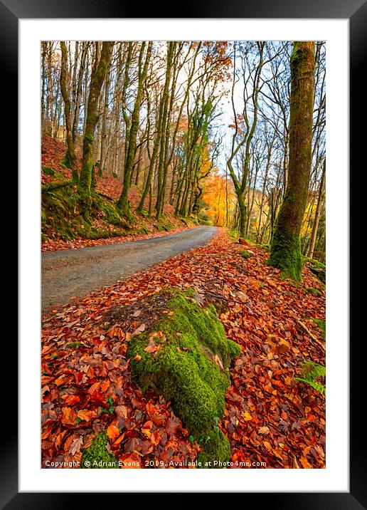 Country Path Autumn  Framed Mounted Print by Adrian Evans