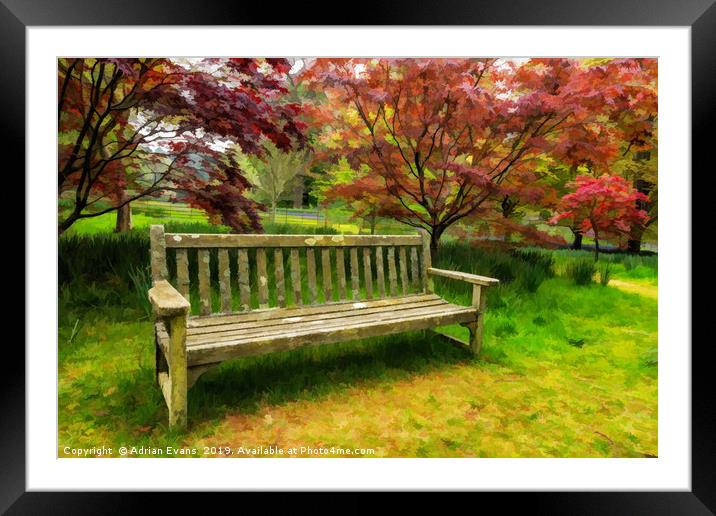 Garden Bench Framed Mounted Print by Adrian Evans