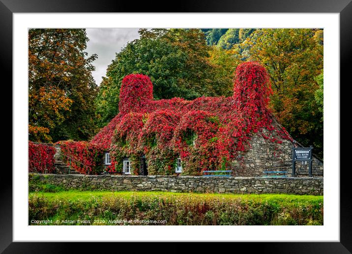 Autumn Tea House Llanrwst Wales Framed Mounted Print by Adrian Evans