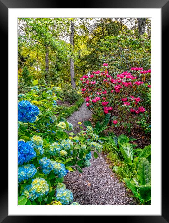 Summer Garden Framed Mounted Print by Adrian Evans