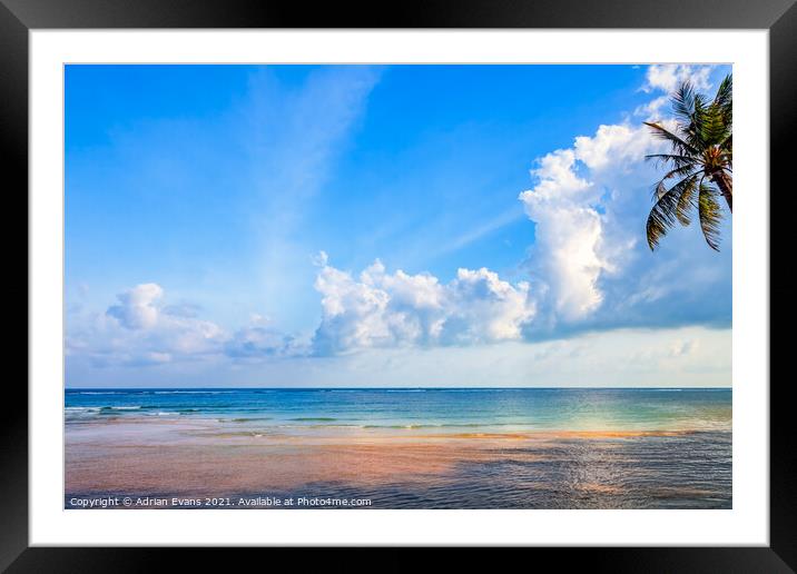 Tropical Destination Framed Mounted Print by Adrian Evans
