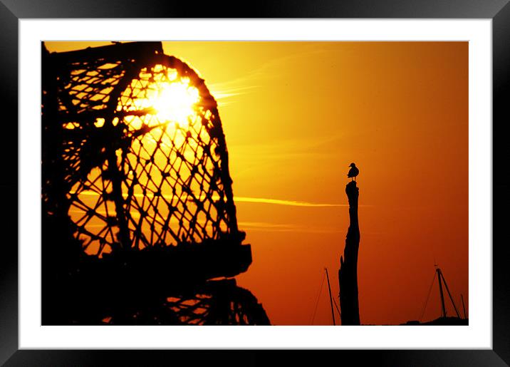 Looking for lobsters at sunset! Framed Mounted Print by Gary Pearson