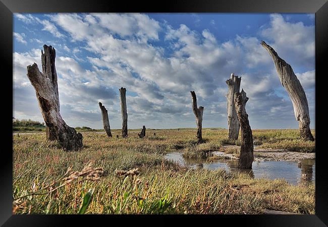Old wooden posts Thornham marsh Framed Print by Gary Pearson
