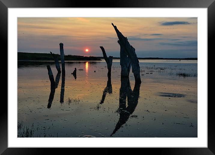 High tide over Thornham marsh Framed Mounted Print by Gary Pearson