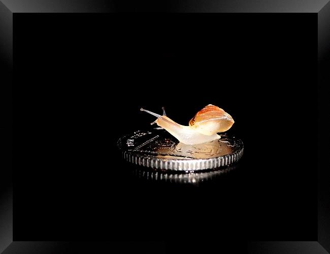 Snail on a 10p coin Framed Print by Gary Pearson