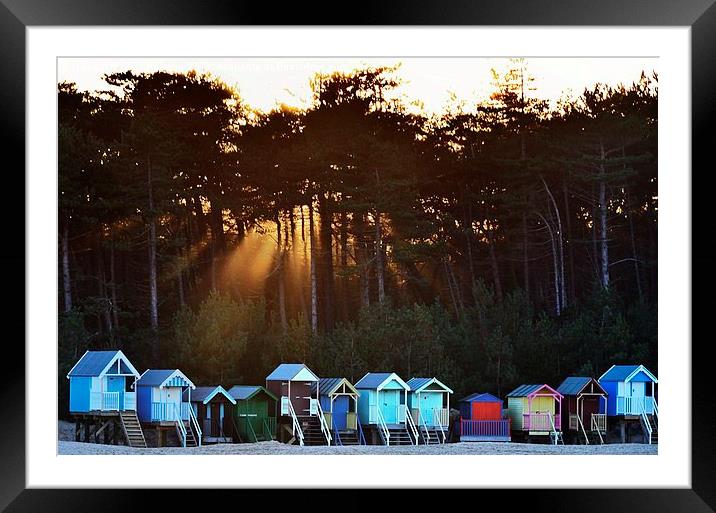 Wells next-the-sea beach huts Framed Mounted Print by Gary Pearson