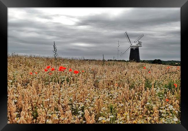 Burnham Overy Windmill Framed Print by Gary Pearson