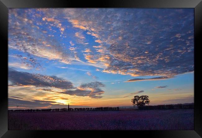 Sunset over a field of flowers Framed Print by Gary Pearson